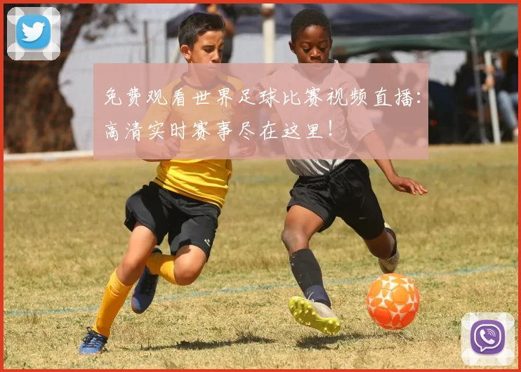 免费观看世界足球比赛视频直播:高清实时赛事尽在这里!
